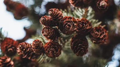 В Україну прийшов потужний циклон: якою буде погода на вихідних - фото