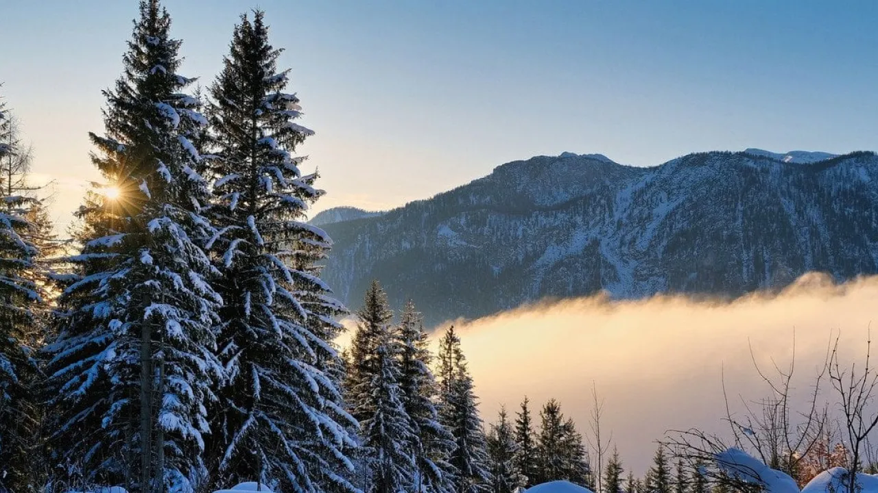 Якою буде зима 2025–2026 в Україні: синоптикиня здивувала прогнозом 