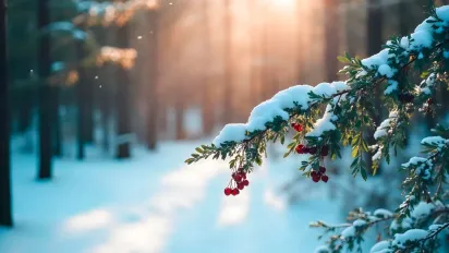 Який оберіг робили матері синам 23 листопада: народні прикмети - фото