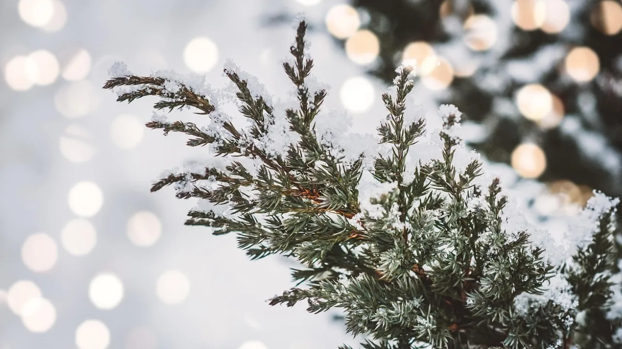 Негода насувається: в Україні оголошено жовтий рівень небезпеки на 23 листопада 