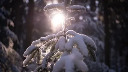 В неділю Україну накриє мокрим снігом і дощами: де чекати опадів - фото