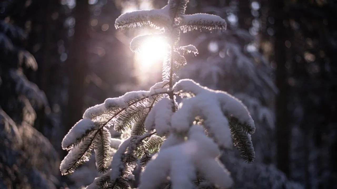 В неділю Україну накриє мокрим снігом і дощами: де чекати опадів 