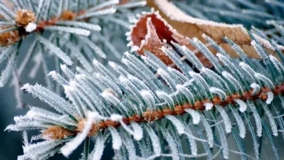 24 листопада - День святої Катерини: звичаї, прикмети та заборони свята - фото