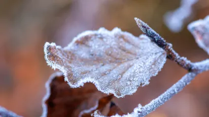 Синоптики попередили про негоду в понеділок: прогноз на 24 листопада - фото
