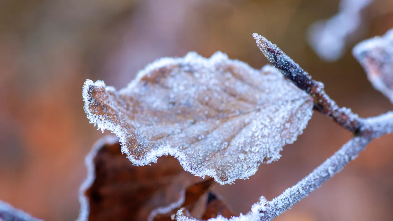 Синоптики попередили про негоду в понеділок: прогноз на 24 листопада 