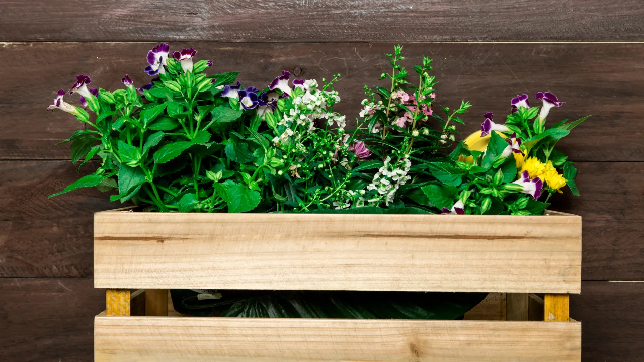 Готуємо квітник до зими: секрети здорового старту навесні 