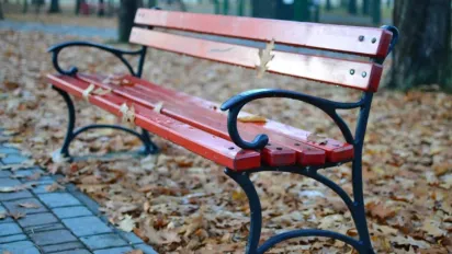 Прогноз погоди на 26 листопада: тепло, поривчастий вітер і локальні дощі на заході - фото