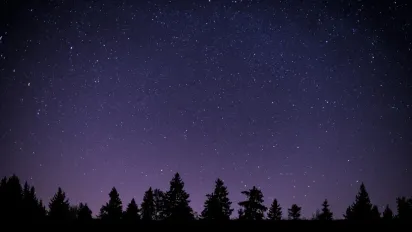 Гороскоп на грудень 2025 року: повний прогноз для всіх знаків Зодіаку - фото