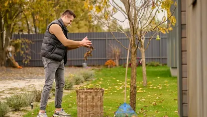 Прибирання під парканом: коли недбалість обійдеться у сотні гривень - фото