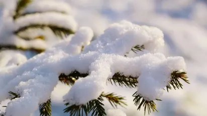 Теплий грудень 2025: якою буде погода в Україні та чого очікувати від початку зими - фото