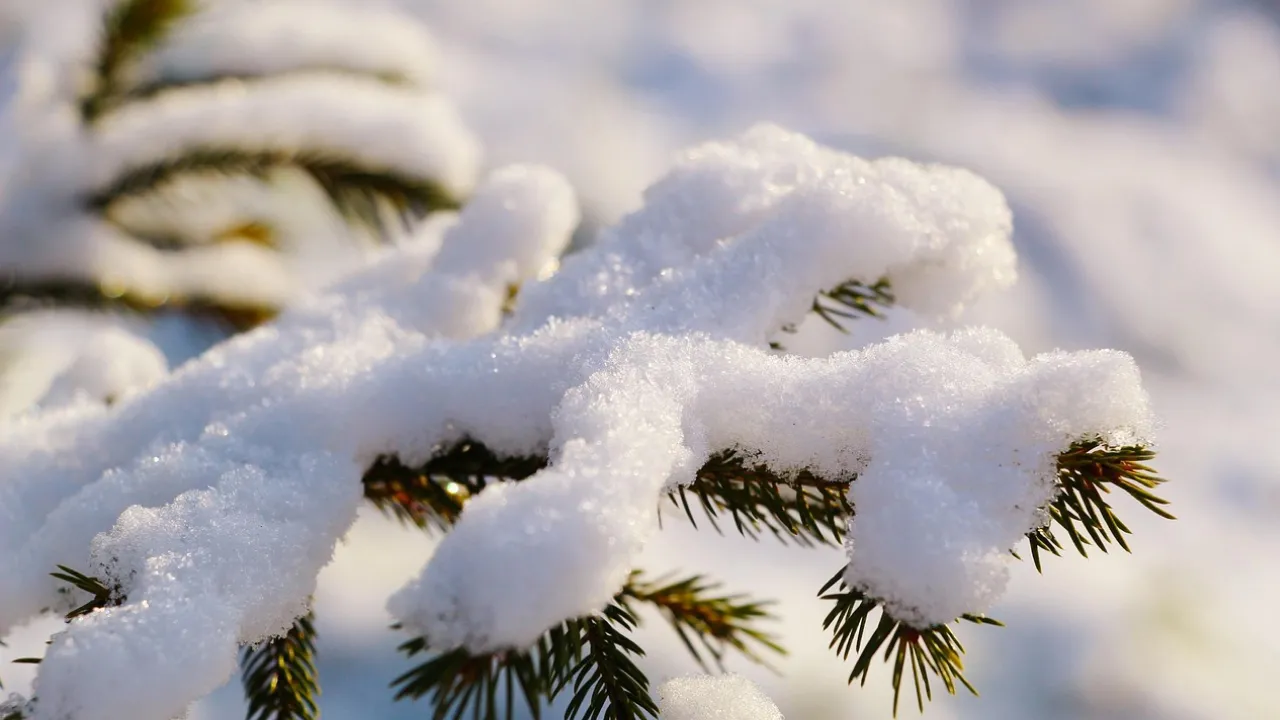 Теплий грудень 2025: якою буде погода в Україні та чого очікувати від початку зими 
