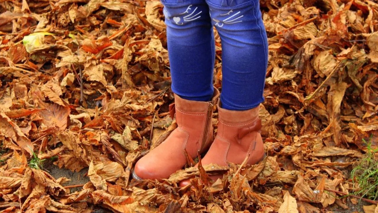 Прогноз погоди в Україні на сьогодні: дощі, вітер і відлиги — що важливо знати 