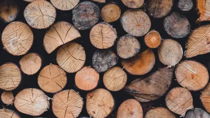 Дрова за соціальною ціною: де та як замовити допомогу до зими - фото