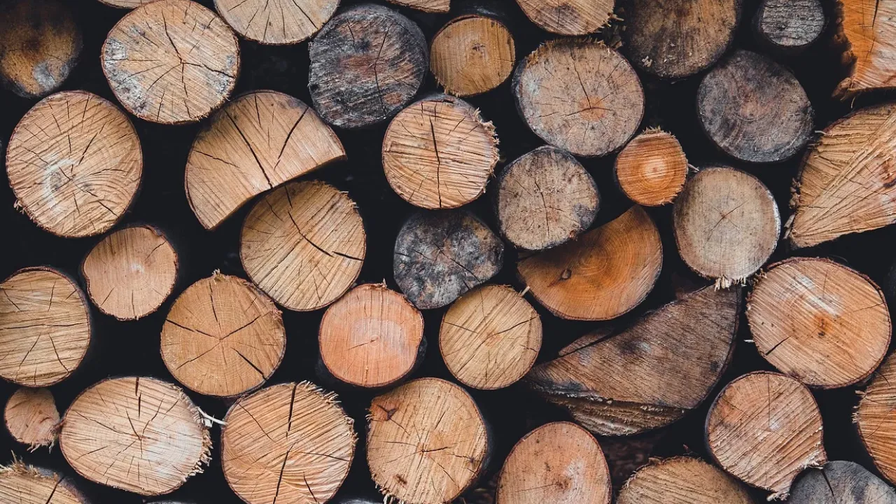 Дрова за соціальною ціною: де та як замовити допомогу до зими 