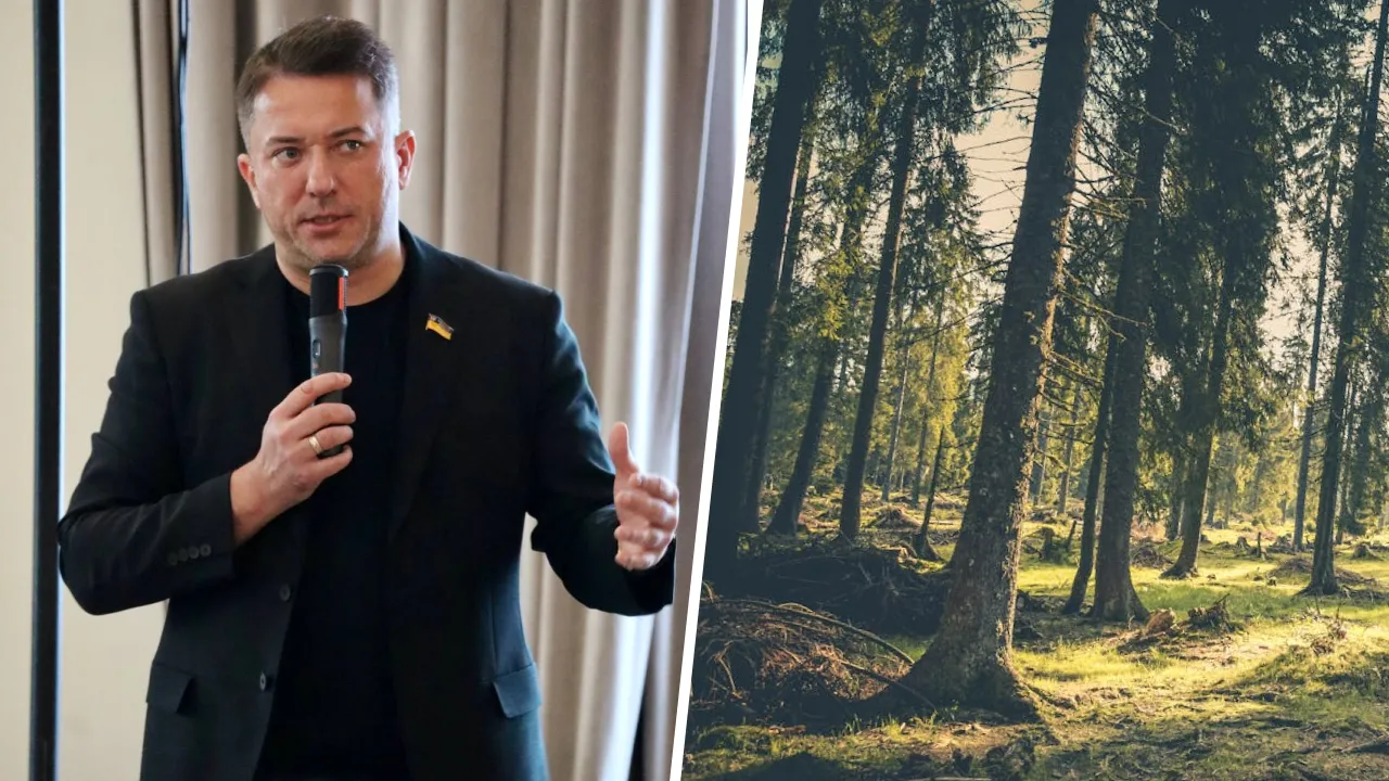 Менше ніж два місяці до EUDR — що зміниться для українських фермерів і експортерів 