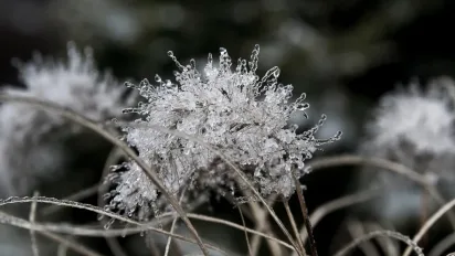 Кого не варто кликати в гості 27 листопада: головні народні прикмети і що вони означають - фото