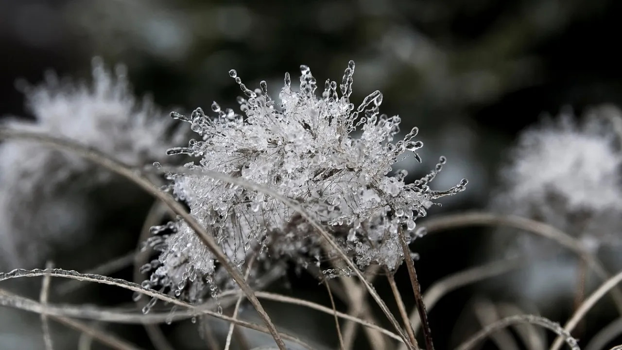Кого не варто кликати в гості 27 листопада: головні народні прикмети і що вони означають 