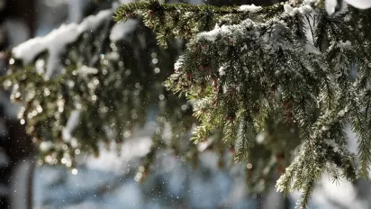 Аномально теплий грудень: синоптик розповів, коли чекати на сніг - фото