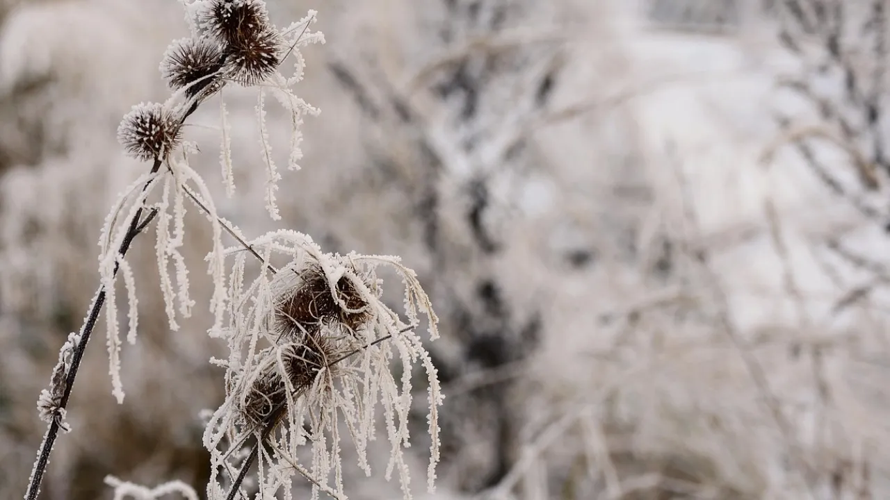 Чого не можна позичати сусідам 28 листопада: прикмети, контекст і сучасні поради 