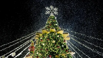 Які міста в Україні цього року не будуть встановлювати новорічні ялинки - фото