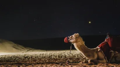 На вулиці цих знаків Зодіаку скоро буде справжнє свято кохання - фото