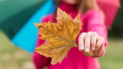Останні вихідні осені: Наталка Діденко розповіла, якою буде погода - фото