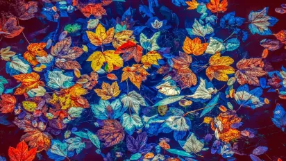 Що треба позичити у сусідів 29 листопада, щоб привернути удачу: народні прикмети - фото