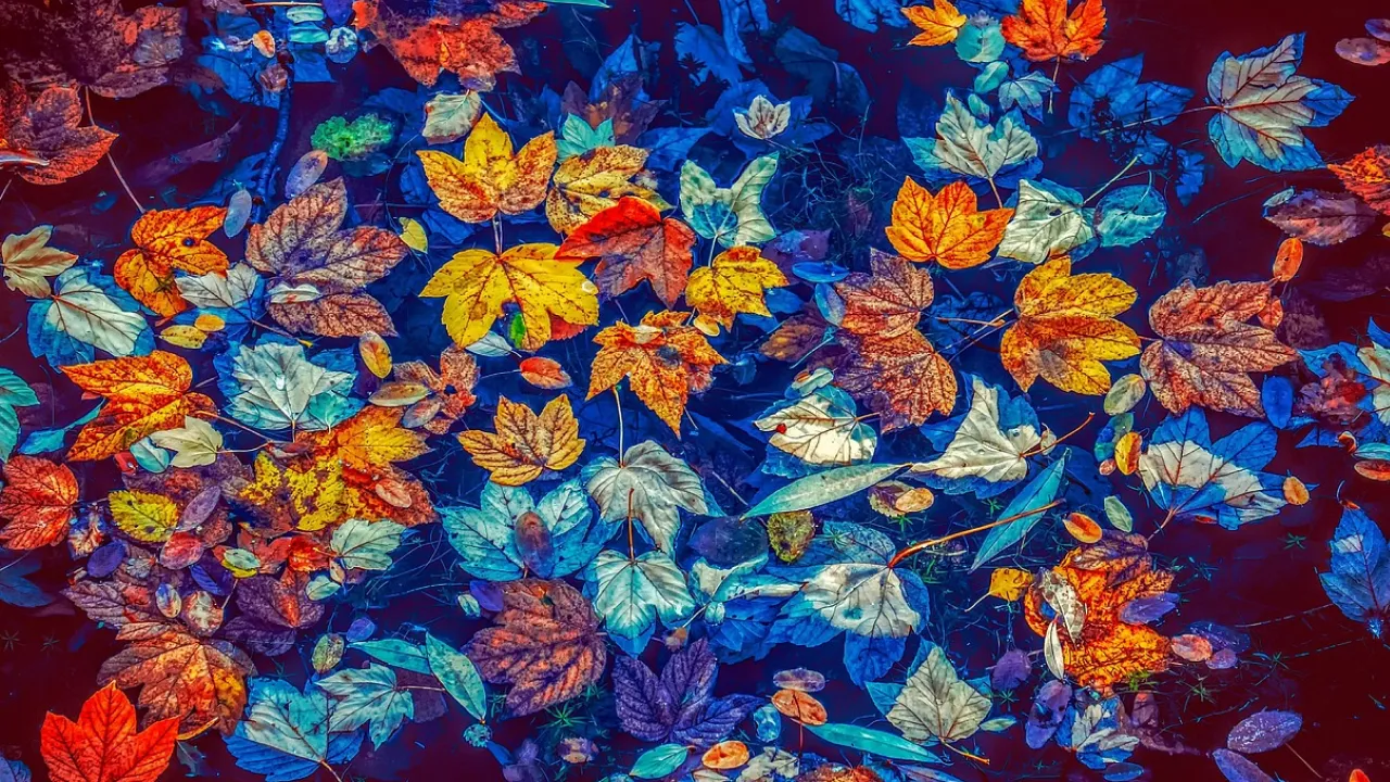 Що треба позичити у сусідів 29 листопада, щоб привернути удачу: народні прикмети 