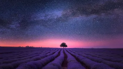 У трьох знаків Зодіаку закінчується "чорна смуга": труднощі минають, а життя входить у світлу фазу - фото