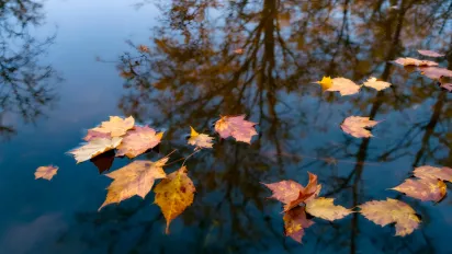 Погода 30 листопада в Україні: де буде сухо, які області накриють дощі та яким буде перехід до зими - фото