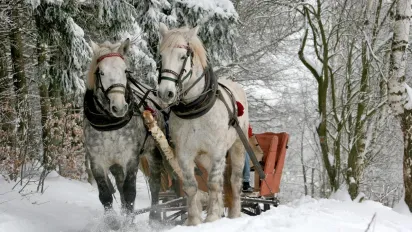 Якою буде зима 2025-2026 в Україні: прогноз синоптиків - фото