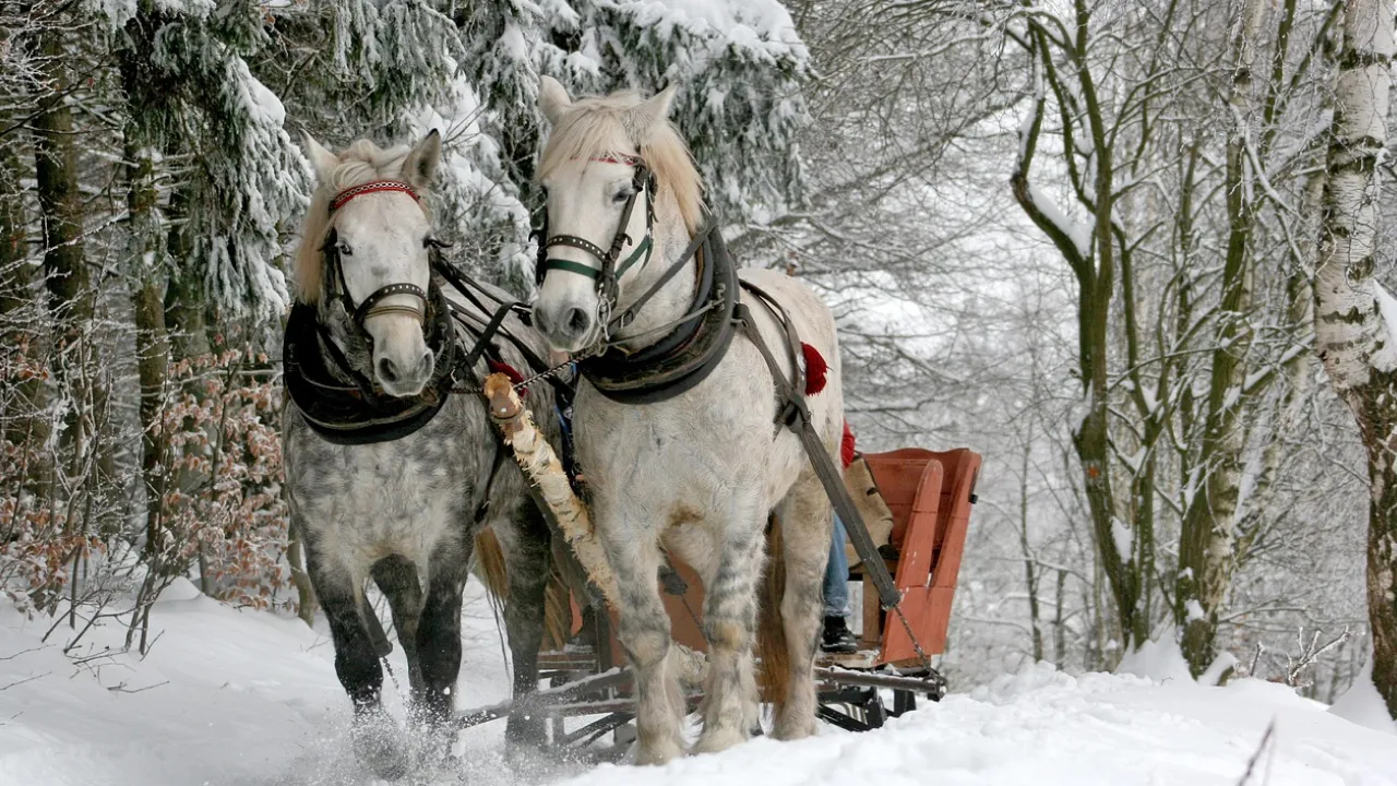 Якою буде зима 2025-2026 в Україні: прогноз синоптиків 