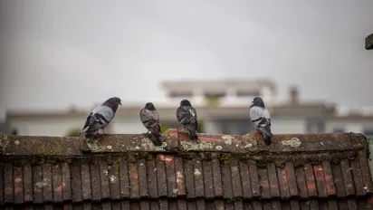 В Україну йде похолодання: прогноз погоди від синоптикині Діденко - фото