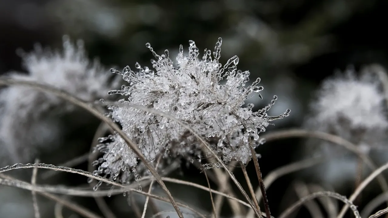 Що викидати 2 грудня: народні прикмети для грошей і благополуччя — що варто знати сьогодні 