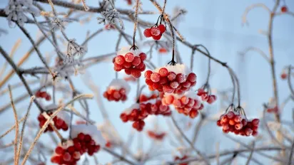 Яким буде перший місяць зими в Україні: прогноз від синоптикині - фото