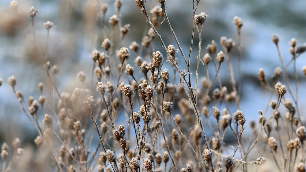 3 грудня в Україні буде хмарно і з дощами: Діденко дала прогноз погоди на завтра 
