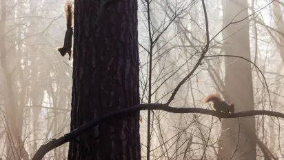 В Укргідрометцентрі розповіли, якої погоди чекати 3 грудня - фото