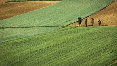 Усім, хто має землю: українцям доведеться заплатити до 30 тисяч грн державі - фото