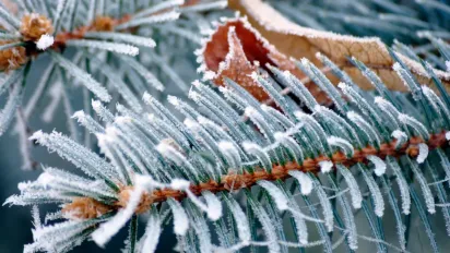 Що клали під подушку 5 грудня, щоб закликати удачу та достаток: народні прикмети - фото