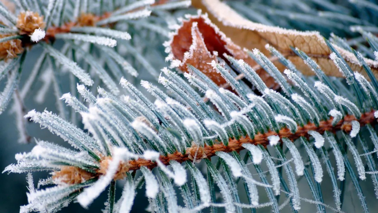 Що клали під подушку 5 грудня, щоб закликати удачу та достаток: народні прикмети 