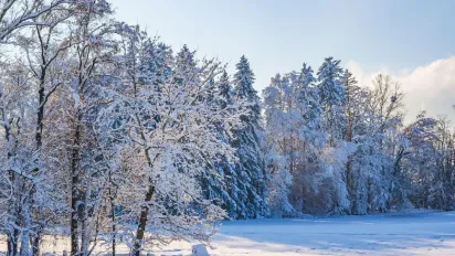 Якою буде зима в Україні: прогноз Укргідрометцентру - фото