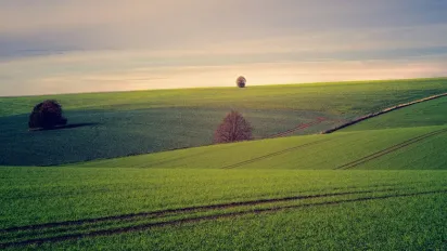 «Безплатна» приватизація землі: чому українцям доведеться платити десятки тисяч за оформлення ділянки - фото