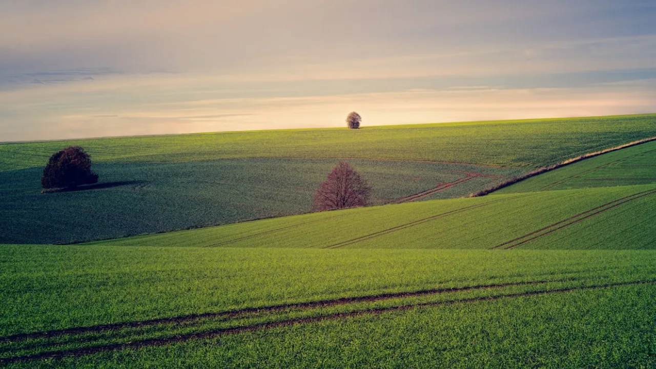 «Безплатна» приватизація землі: чому українцям доведеться платити десятки тисяч за оформлення ділянки 