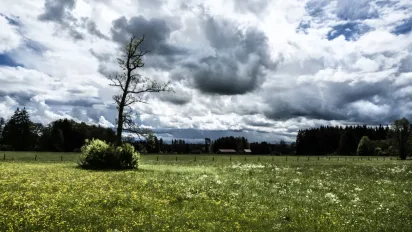 Погода на вихідні 6–7 грудня: Україну накриє антициклон, в яких регіонах можливі штормові пориви - фото