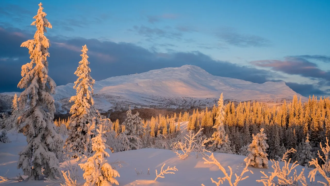 Чого категорично не можна робити 7 грудня: яке сьогодні свято, головні прикмети, традиції та піст 
