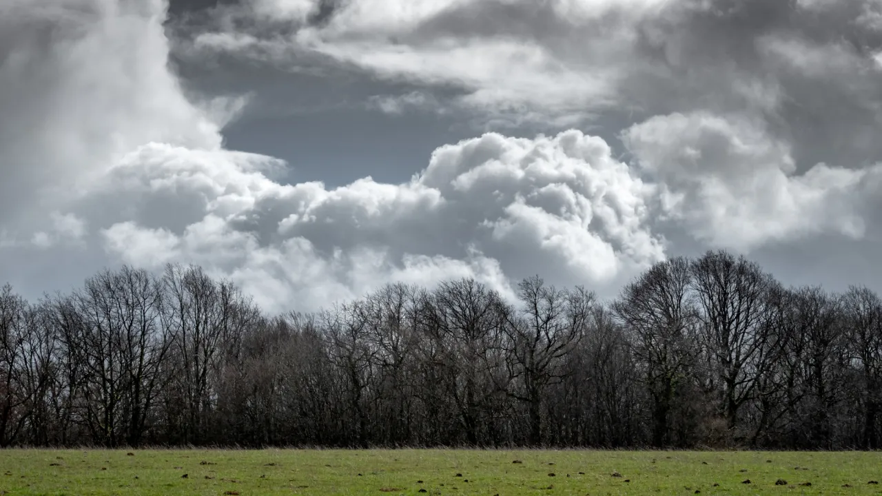 Штормовий вітер та температурні гойдалки: прогноз погоди в Україні на 7 грудня 