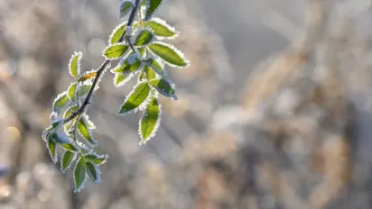 Від -3 до +9: прогноз погоди на 8 грудня – де вдарить мороз, а де штормовий вітер - фото