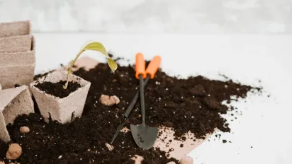 Садові роботи під час морозів: що категорично заборонено робити, щоб не занапастити рослини - фото