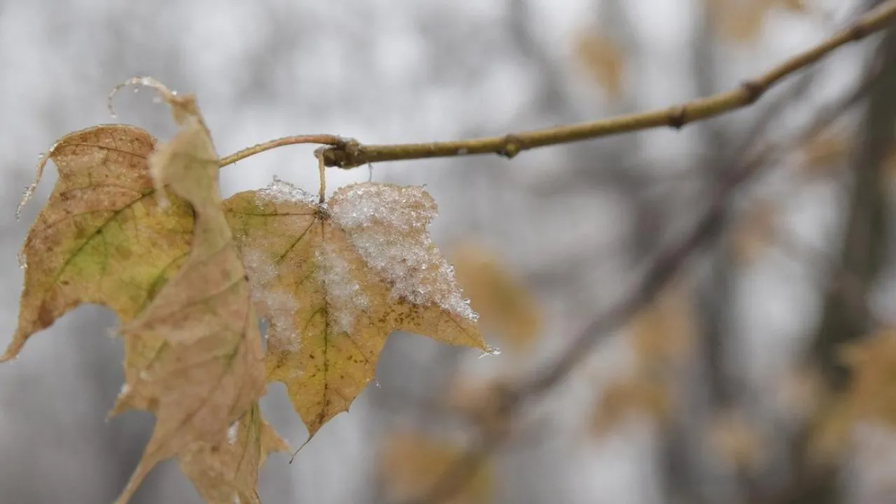 І мокрий сніг, і +11: синоптик розповів про "аномальну" погоду на тиждень 