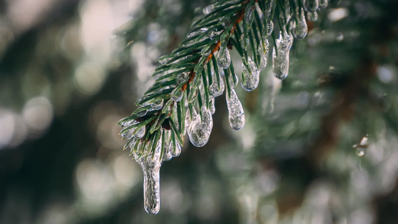"Зима століття" наближається: синоптики зробили тривожні прогнози 